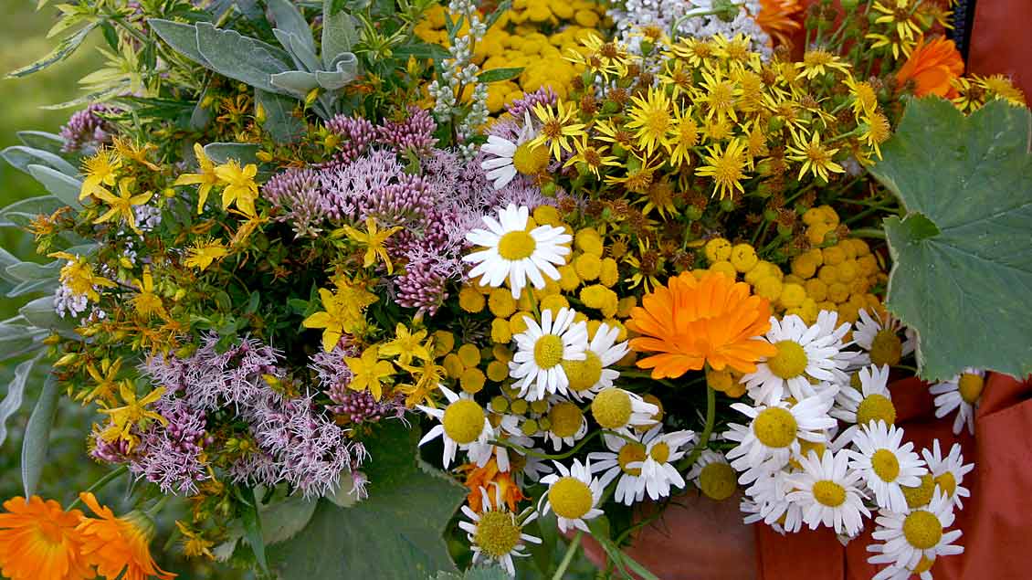 Symbolbild Kräutersträuße